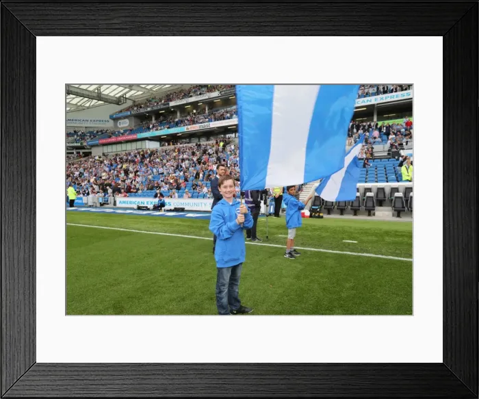 Framed Print : Championship Showdown: Brighton and Hove Albion vs Barnsley at American Express Community Stadium (24SEP16) Framed Print : Championship Showdown: Brighton and Hove Albion vs Barnsley at American Express Community Stadium (24SEP16)