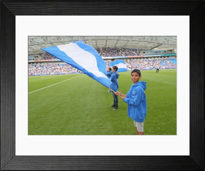 Framed Print : Exciting EFL Sky Bet Championship Clash: Brighton and Hove Albion vs Barnsley at American Express Community Stadium (24SEP16) Framed Print : Exciting EFL Sky Bet Championship Clash: Brighton and Hove Albion vs Barnsley at American Express Community Stadium (24SEP16)