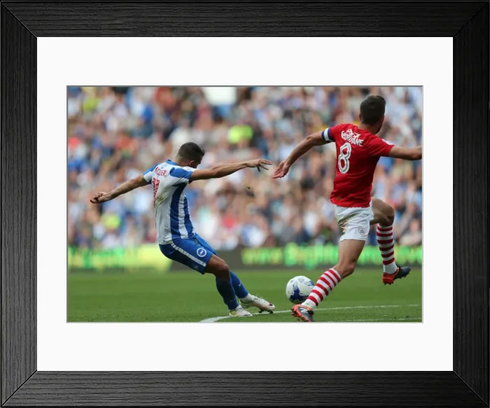Framed Print : Exciting EFL Championship Showdown: Brighton & Hove Albion vs Barnsley (24SEP16)