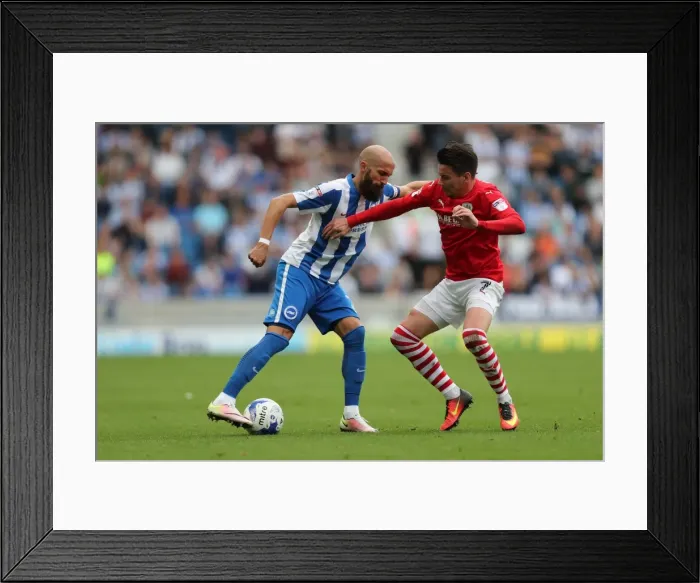 Framed Print : Thrilling EFL Sky Bet Championship Showdown: Brighton & Hove Albion vs. Barnsley (24SEP16)