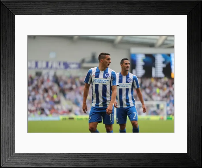 Framed Print : Intense Championship Showdown: Brighton and Hove Albion vs Barnsley (24SEP16)
