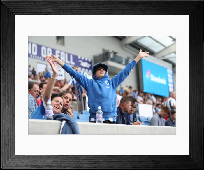 Framed Print : Intense Championship Showdown: Brighton and Hove Albion vs Barnsley (24SEP16) Framed Print : Intense Championship Showdown: Brighton and Hove Albion vs Barnsley (24SEP16)