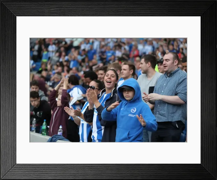Framed Print : Brighton and Hove Albion vs Barnsley: Thrilling EFL Sky Bet Championship Showdown at American Express Community Stadium (24SEP16) Framed Print : Brighton and Hove Albion vs Barnsley: Thrilling EFL Sky Bet Championship Showdown at American Express Community Stadium (24SEP16)