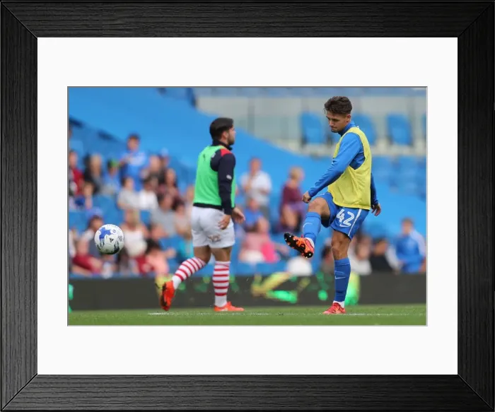 Framed Print : Intense Championship Showdown: Brighton & Hove Albion vs. Barnsley (24SEP16) Framed Print : Intense Championship Showdown: Brighton & Hove Albion vs. Barnsley (24SEP16)