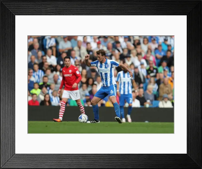 Framed Print : Brighton and Hove Albion vs Barnsley: Thrilling Championship Showdown at American Express Community Stadium (24SEP16) Framed Print : Brighton and Hove Albion vs Barnsley: Thrilling Championship Showdown at American Express Community Stadium (24SEP16)