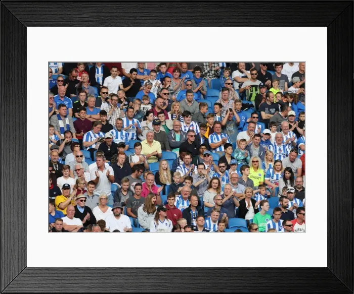 Framed Print : Intense Championship Showdown: Brighton and Hove Albion vs Barnsley (24SEP16) Framed Print : Intense Championship Showdown: Brighton and Hove Albion vs Barnsley (24SEP16)