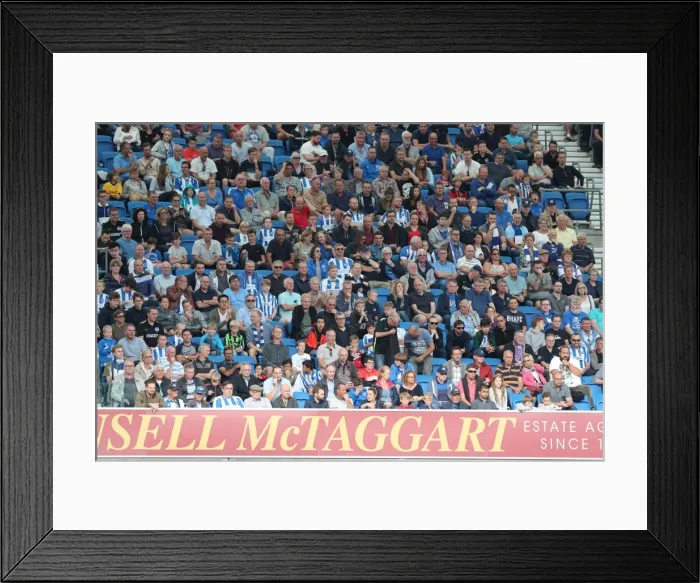 Framed Print : Exciting EFL Sky Bet Championship Showdown: Brighton & Hove Albion vs. Barnsley (24SEP16) Framed Print : Exciting EFL Sky Bet Championship Showdown: Brighton & Hove Albion vs. Barnsley (24SEP16)
