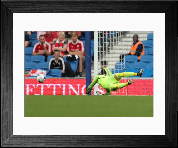 Framed Print : Thrilling EFL Sky Bet Championship Showdown: Brighton & Hove Albion vs. Barnsley (24SEP16) Framed Print : Thrilling EFL Sky Bet Championship Showdown: Brighton & Hove Albion vs. Barnsley (24SEP16)