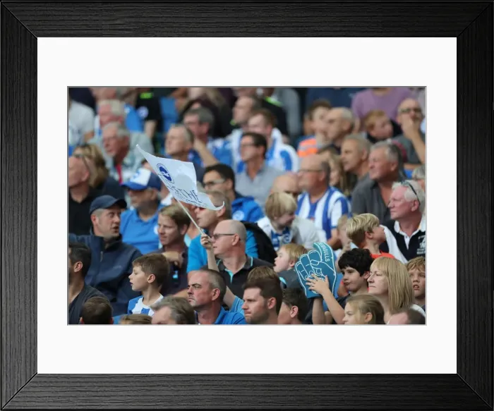 Framed Print : Thrilling EFL Sky Bet Championship Showdown: Brighton & Hove Albion vs. Barnsley (24SEP16) Framed Print : Thrilling EFL Sky Bet Championship Showdown: Brighton & Hove Albion vs. Barnsley (24SEP16)