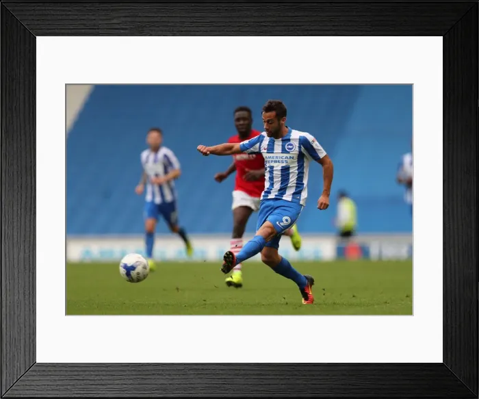 Framed Print : Intense Championship Showdown: Brighton and Hove Albion vs Barnsley (24SEP16) Framed Print : Intense Championship Showdown: Brighton and Hove Albion vs Barnsley (24SEP16)