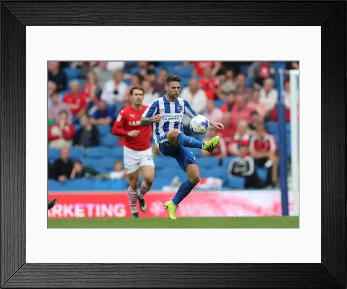 Framed Print : Intense Championship Showdown: Brighton and Hove Albion vs Barnsley (24SEP16)