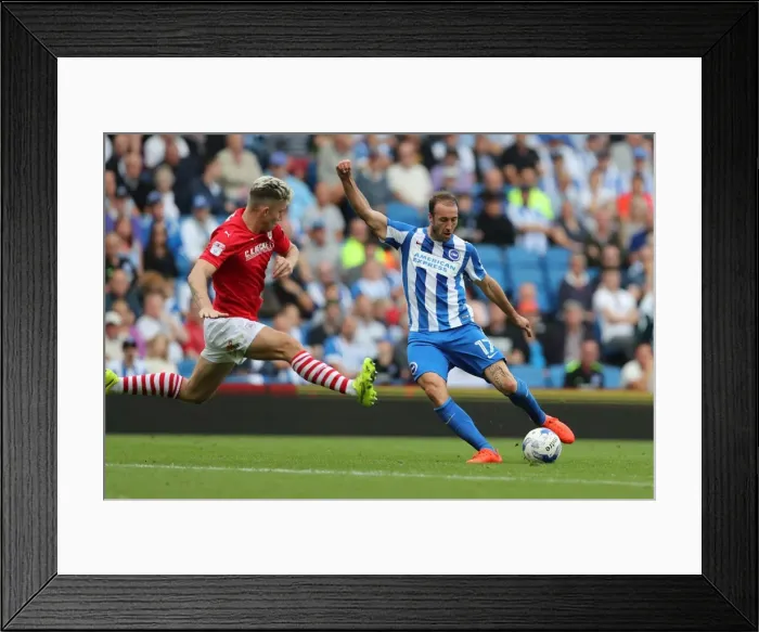 Framed Print : Intense Championship Showdown: Brighton and Hove Albion vs Barnsley (24SEP16) Framed Print : Intense Championship Showdown: Brighton and Hove Albion vs Barnsley (24SEP16)