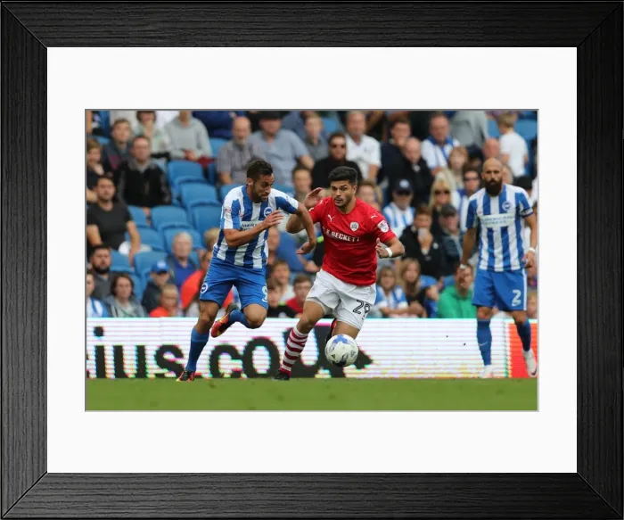 Framed Print : Intense Championship Showdown: Brighton & Hove Albion vs. Barnsley (24SEP16) Framed Print : Intense Championship Showdown: Brighton & Hove Albion vs. Barnsley (24SEP16)