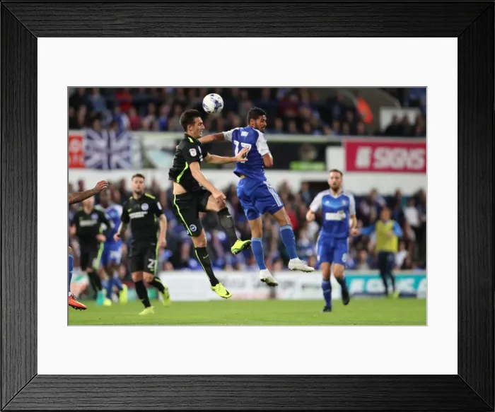 Framed Print : Championship Showdown: Brighton and Hove Albion vs Ipswich Town at Portman Road (27SEP16) Framed Print : Championship Showdown: Brighton and Hove Albion vs Ipswich Town at Portman Road (27SEP16)
