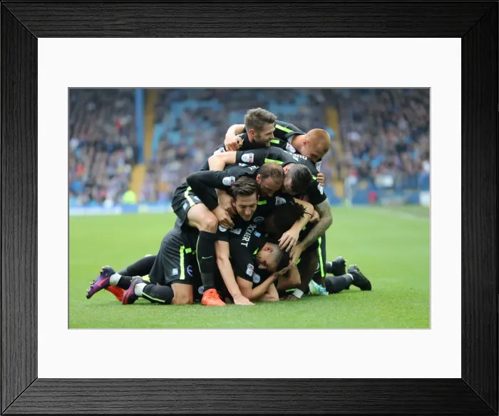 Framed Print : Brighton and Hove Albion vs Sheffield Wednesday: Sky Bet Championship Showdown at Hillsborough (1st October 2016) Framed Print : Brighton and Hove Albion vs Sheffield Wednesday: Sky Bet Championship Showdown at Hillsborough (1st October 2016)