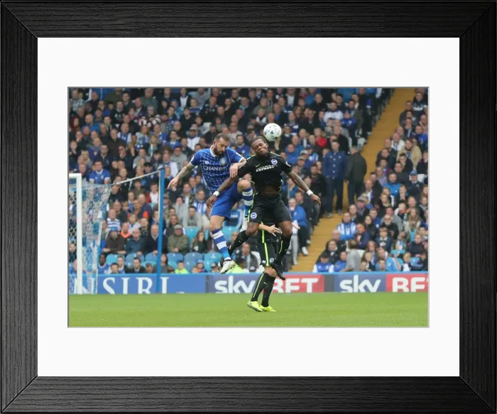 Framed Print : Brighton and Hove Albion vs Sheffield Wednesday: Sky Bet Championship Showdown at Hillsborough (1st October 2016) Framed Print : Brighton and Hove Albion vs Sheffield Wednesday: Sky Bet Championship Showdown at Hillsborough (1st October 2016)