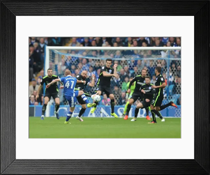 Framed Print : Brighton and Hove Albion vs. Sheffield Wednesday: Sky Bet Championship Showdown at Hillsborough (1st October 2016)