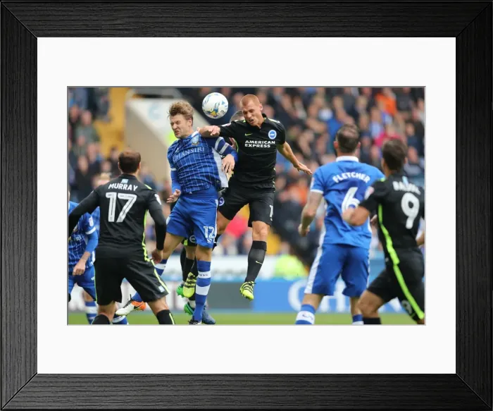 Framed Print : Brighton and Hove Albion vs Sheffield Wednesday: Sky Bet Championship Showdown at Hillsborough (10 / 01 / 2016) Framed Print : Brighton and Hove Albion vs Sheffield Wednesday: Sky Bet Championship Showdown at Hillsborough (10 / 01 / 2016)
