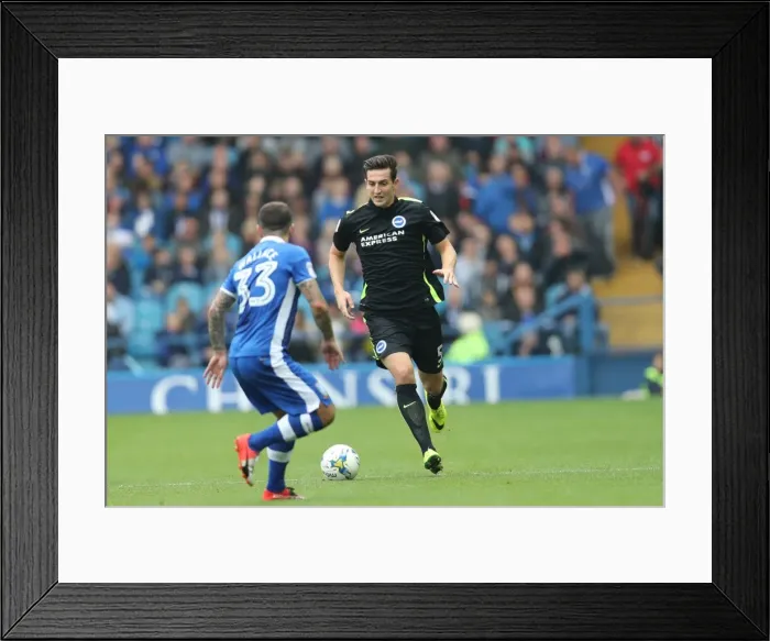 Framed Print : Championship Showdown: Brighton and Hove Albion vs Sheffield Wednesday (01 / 10 / 2016) Framed Print : Championship Showdown: Brighton and Hove Albion vs Sheffield Wednesday (01 / 10 / 2016)
