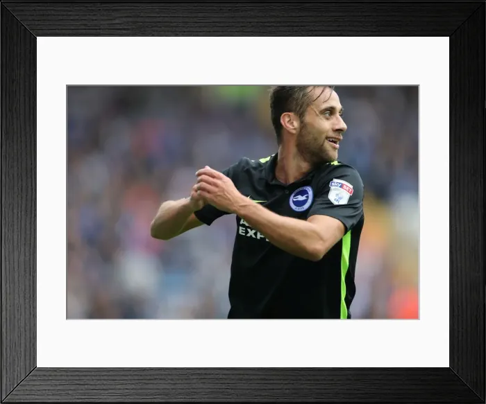 Framed Print : Brighton and Hove Albion vs Sheffield Wednesday: A Battle in the Sky Bet Championship (1st October 2016) Framed Print : Brighton and Hove Albion vs Sheffield Wednesday: A Battle in the Sky Bet Championship (1st October 2016)