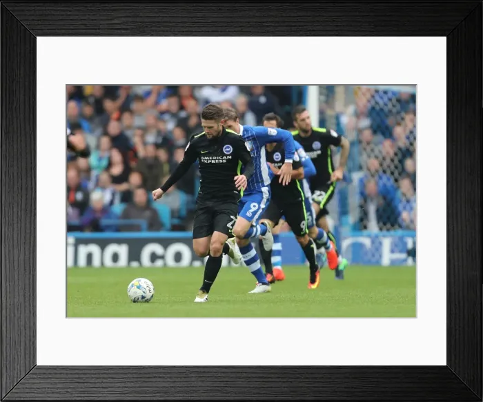 Framed Print : Brighton and Hove Albion vs Sheffield Wednesday: Sky Bet Championship Showdown at Hillsborough (10 / 01 / 2016) Framed Print : Brighton and Hove Albion vs Sheffield Wednesday: Sky Bet Championship Showdown at Hillsborough (10 / 01 / 2016)