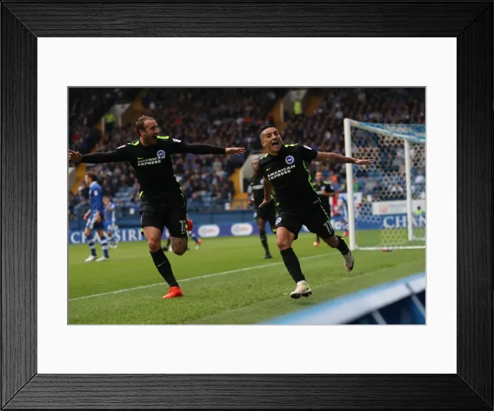 Framed Print : Brighton and Hove Albion vs. Sheffield Wednesday: Sky Bet Championship Showdown at Hillsborough (1st October 2016) Framed Print : Brighton and Hove Albion vs. Sheffield Wednesday: Sky Bet Championship Showdown at Hillsborough (1st October 2016)
