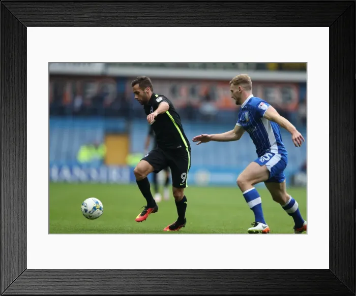Framed Print : Brighton and Hove Albion vs Sheffield Wednesday: Sky Bet Championship Showdown at Hillsborough (10 / 01 / 2016) Framed Print : Brighton and Hove Albion vs Sheffield Wednesday: Sky Bet Championship Showdown at Hillsborough (10 / 01 / 2016)