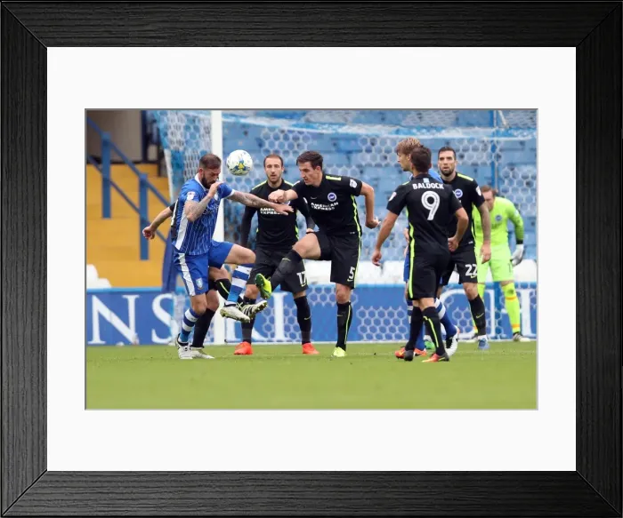 Framed Print : Brighton and Hove Albion vs Sheffield Wednesday: A Battle in the Sky Bet Championship at Hillsborough (1st October 2016) Framed Print : Brighton and Hove Albion vs Sheffield Wednesday: A Battle in the Sky Bet Championship at Hillsborough (1st October 2016)