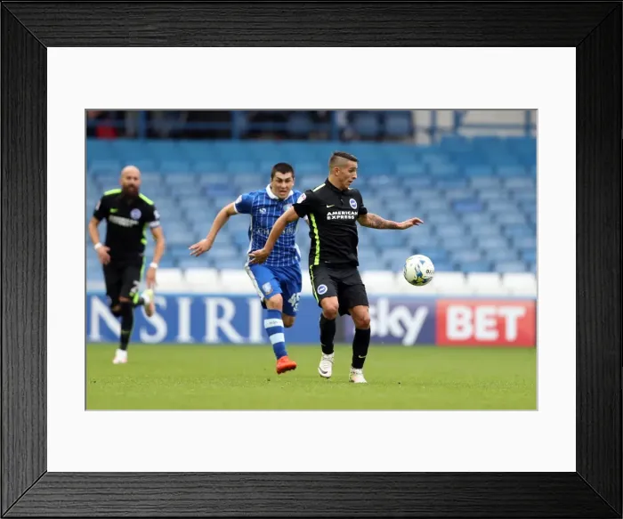 Framed Print : Brighton and Hove Albion vs Sheffield Wednesday: Sky Bet Championship Showdown at Hillsborough (10 / 01 / 2016)