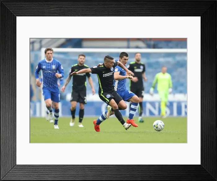 Framed Print : Championship Showdown: Brighton and Hove Albion vs Sheffield Wednesday (01 / 10 / 2016) Framed Print : Championship Showdown: Brighton and Hove Albion vs Sheffield Wednesday (01 / 10 / 2016)