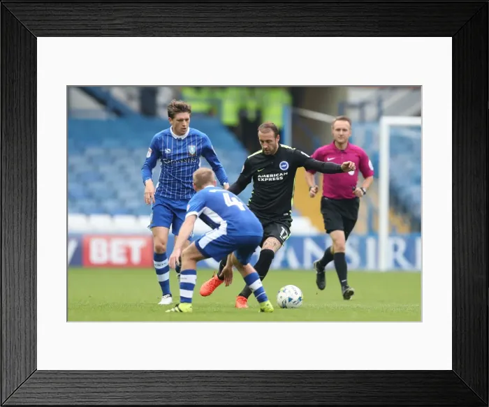Framed Print : Brighton and Hove Albion vs Sheffield Wednesday: Sky Bet Championship Showdown at Hillsborough (1st October 2016) Framed Print : Brighton and Hove Albion vs Sheffield Wednesday: Sky Bet Championship Showdown at Hillsborough (1st October 2016)