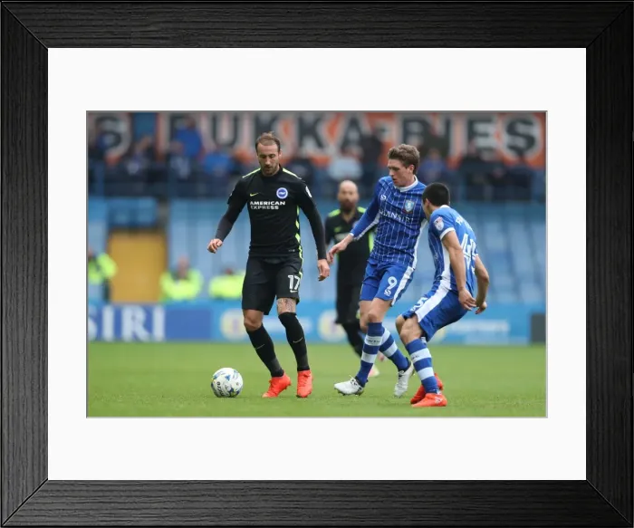 Framed Print : Brighton and Hove Albion vs Sheffield Wednesday: EFL Championship Showdown at Hillsborough (1st October 2016) Framed Print : Brighton and Hove Albion vs Sheffield Wednesday: EFL Championship Showdown at Hillsborough (1st October 2016)