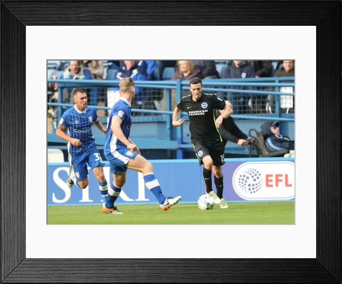 Framed Print : Brighton and Hove Albion vs Sheffield Wednesday: Sky Bet Championship Showdown at Hillsborough (1st October 2016) Framed Print : Brighton and Hove Albion vs Sheffield Wednesday: Sky Bet Championship Showdown at Hillsborough (1st October 2016)