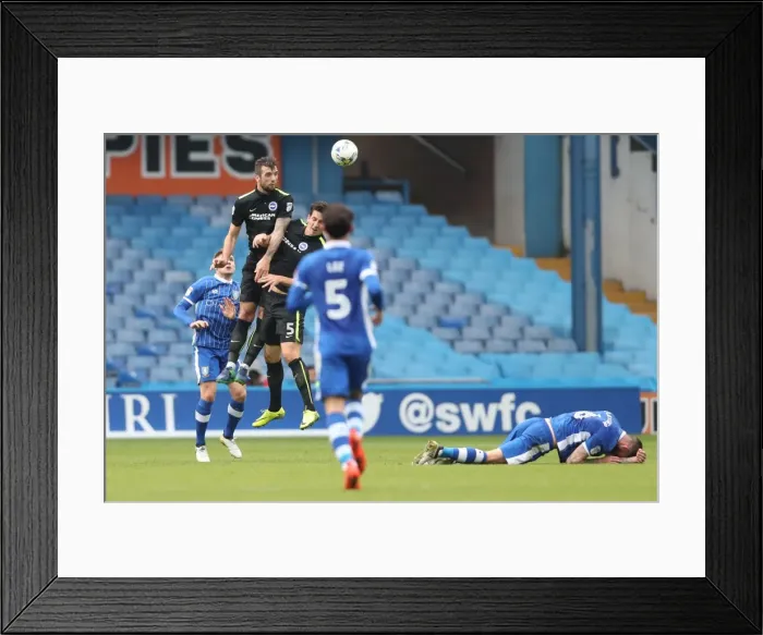 Framed Print : Brighton and Hove Albion vs. Sheffield Wednesday: Sky Bet Championship Showdown at Hillsborough (1st October 2016) Framed Print : Brighton and Hove Albion vs. Sheffield Wednesday: Sky Bet Championship Showdown at Hillsborough (1st October 2016)
