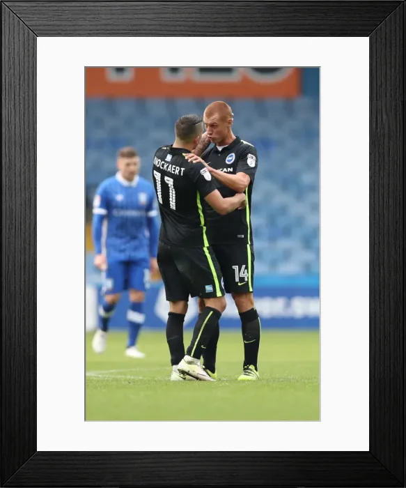 Framed Print : Brighton and Hove Albion vs Sheffield Wednesday: Sky Bet Championship Showdown at Hillsborough (1st October 2016) Framed Print : Brighton and Hove Albion vs Sheffield Wednesday: Sky Bet Championship Showdown at Hillsborough (1st October 2016)