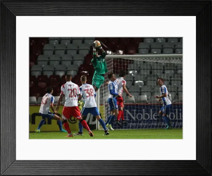 Framed Print : Brighton & Hove Albion U23s Gear Up for EFL Trophy Showdown against Stevenage (4th October 2016)