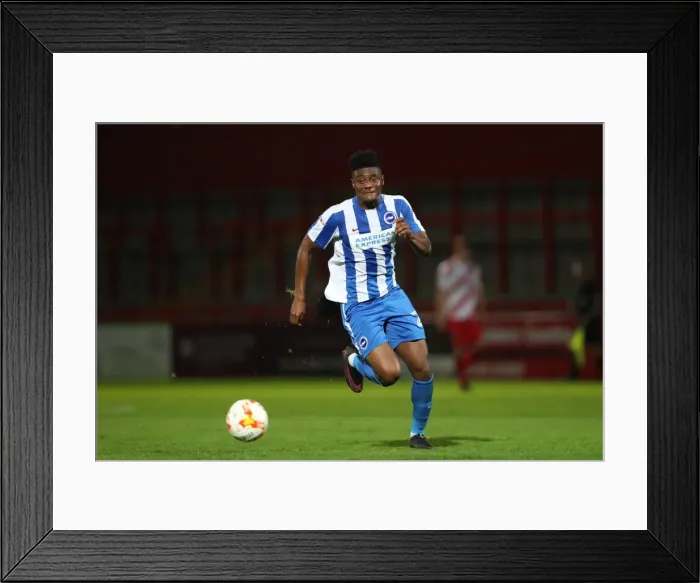 Framed Print : Brighton & Hove Albion U23s Ready for EFL Trophy Showdown against Stevenage (4th October 2016) Framed Print : Brighton & Hove Albion U23s Ready for EFL Trophy Showdown against Stevenage (4th October 2016)