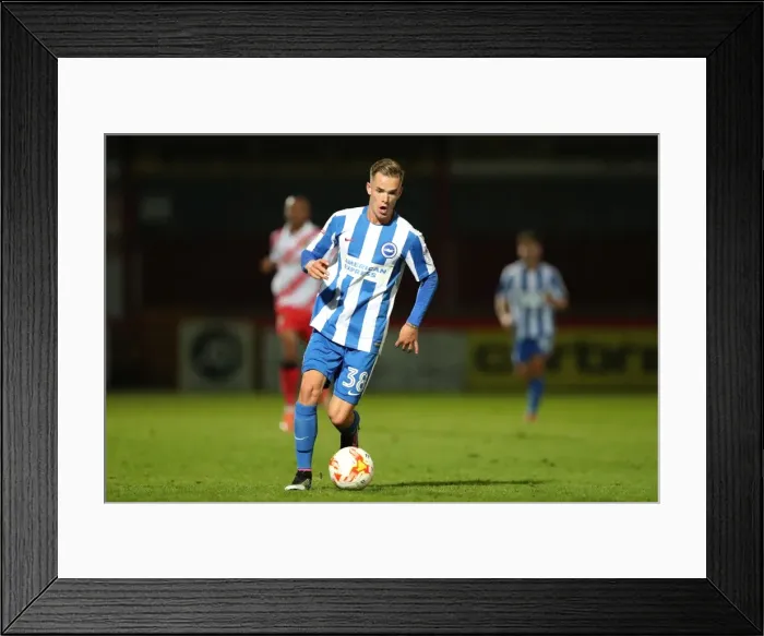 Framed Print : Brighton & Hove Albion U23s Gear Up for EFL Trophy Showdown against Stevenage (04OCT16)