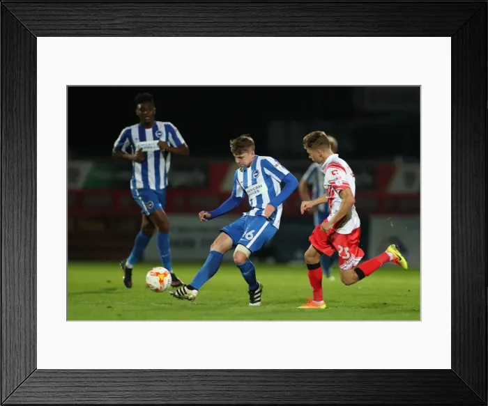 Framed Print : Brighton & Hove Albion U23s Gear Up for EFL Trophy Showdown against Stevenage (04OCT16) Framed Print : Brighton & Hove Albion U23s Gear Up for EFL Trophy Showdown against Stevenage (04OCT16)