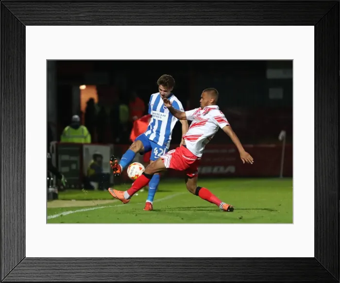 Framed Print : Brighton & Hove Albion U23s Gear Up for EFL Trophy Showdown against Stevenage (04OCT16) Framed Print : Brighton & Hove Albion U23s Gear Up for EFL Trophy Showdown against Stevenage (04OCT16)