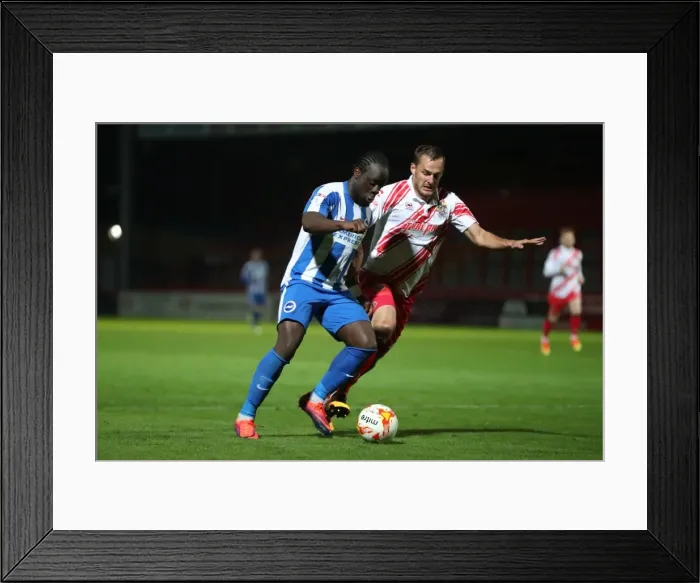 Framed Print : Brighton & Hove Albion U23s Gear Up for EFL Trophy Showdown against Stevenage (4th October 2016) Framed Print : Brighton & Hove Albion U23s Gear Up for EFL Trophy Showdown against Stevenage (4th October 2016)