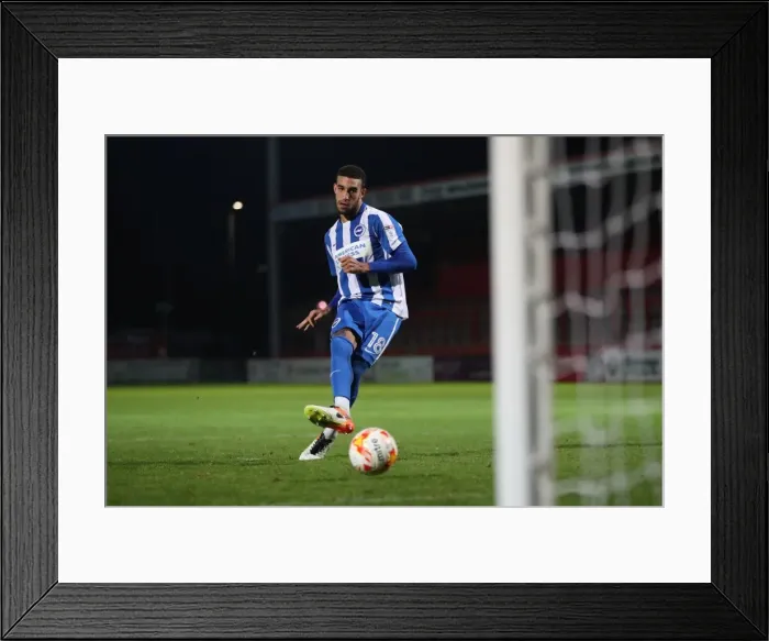 Framed Print : Brighton & Hove Albion U23s Gear Up for EFL Trophy Showdown against Stevenage (4th October 2016) Framed Print : Brighton & Hove Albion U23s Gear Up for EFL Trophy Showdown against Stevenage (4th October 2016)
