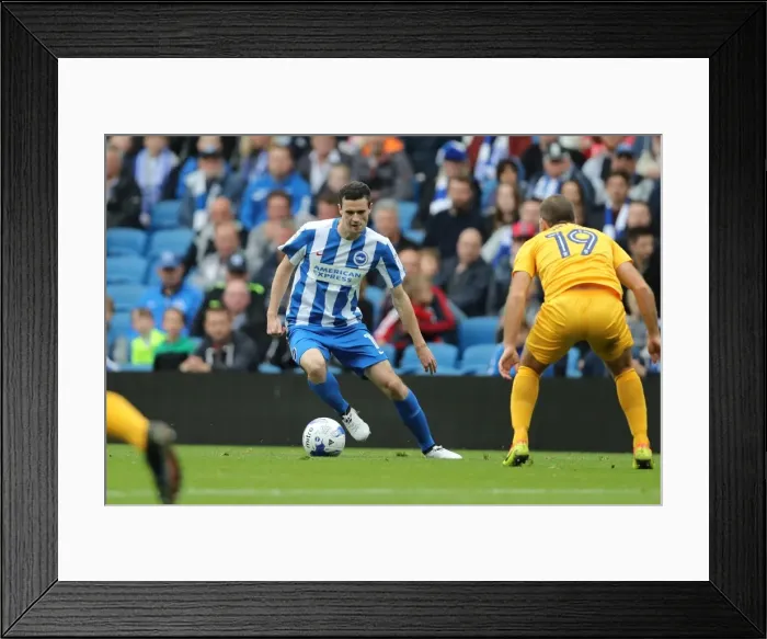 Framed Print : Brighton and Hove Albion v Preston North End EFL Sky Bet Championship 15OCT16 Framed Print : Brighton and Hove Albion v Preston North End EFL Sky Bet Championship 15OCT16