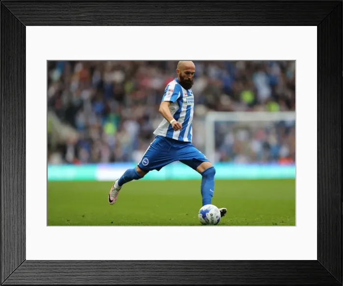 Framed Print : Brighton and Hove Albion vs. Preston North End: A Fierce EFL Sky Bet Championship Clash (15OCT16) Framed Print : Brighton and Hove Albion vs. Preston North End: A Fierce EFL Sky Bet Championship Clash (15OCT16)