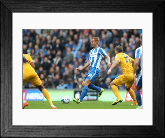 Framed Print : Brighton and Hove Albion vs. Preston North End: A Fierce EFL Sky Bet Championship Clash at the American Express Community Stadium (15OCT16) Framed Print : Brighton and Hove Albion vs. Preston North End: A Fierce EFL Sky Bet Championship Clash at the American Express Community Stadium (15OCT16)