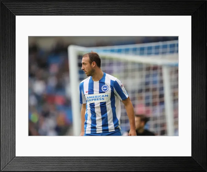 Framed Print : Brighton and Hove Albion vs. Preston North End: A Fierce EFL Sky Bet Championship Clash (15OCT16) Framed Print : Brighton and Hove Albion vs. Preston North End: A Fierce EFL Sky Bet Championship Clash (15OCT16)
