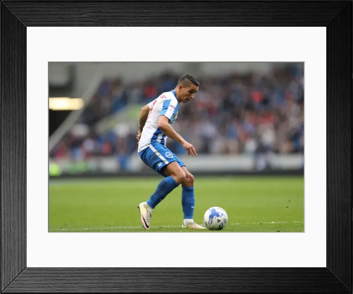 Framed Print : Brighton and Hove Albion vs. Preston North End: A Fierce EFL Sky Bet Championship Clash at the American Express Community Stadium (15OCT16) Framed Print : Brighton and Hove Albion vs. Preston North End: A Fierce EFL Sky Bet Championship Clash at the American Express Community Stadium (15OCT16)