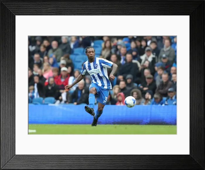 Framed Print : Brighton and Hove Albion vs. Preston North End: A Fight in the EFL Sky Bet Championship (15OCT16) Framed Print : Brighton and Hove Albion vs. Preston North End: A Fight in the EFL Sky Bet Championship (15OCT16)