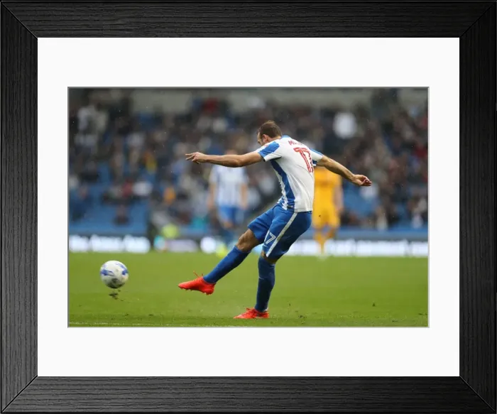 Framed Print : Brighton and Hove Albion vs. Preston North End: A Fierce EFL Sky Bet Championship Clash (15OCT16) Framed Print : Brighton and Hove Albion vs. Preston North End: A Fierce EFL Sky Bet Championship Clash (15OCT16)
