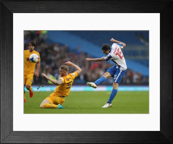 Framed Print : Brighton and Hove Albion vs. Preston North End: A Fierce EFL Sky Bet Championship Clash (15OCT16)